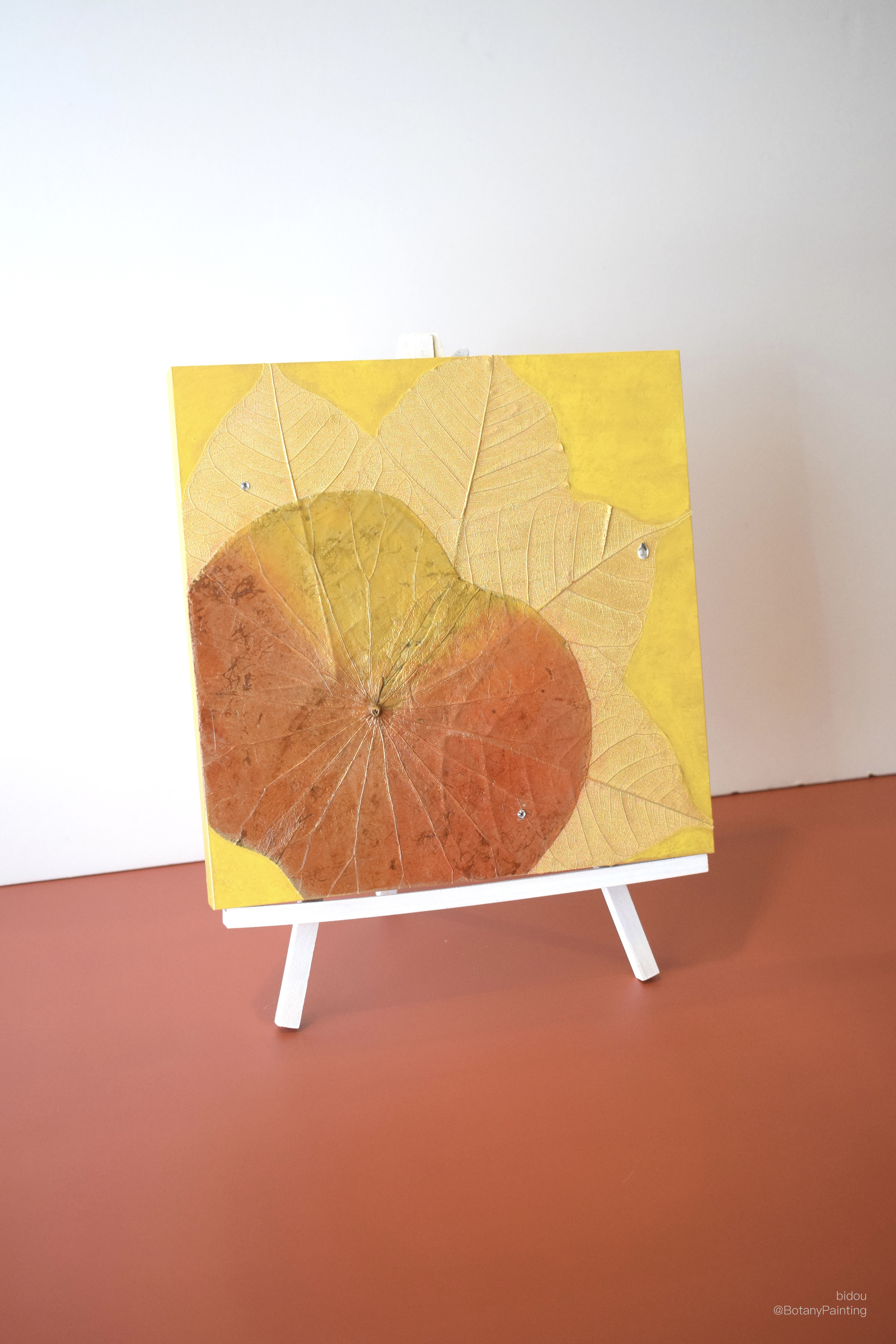 陽〜Hinata ☀️✨