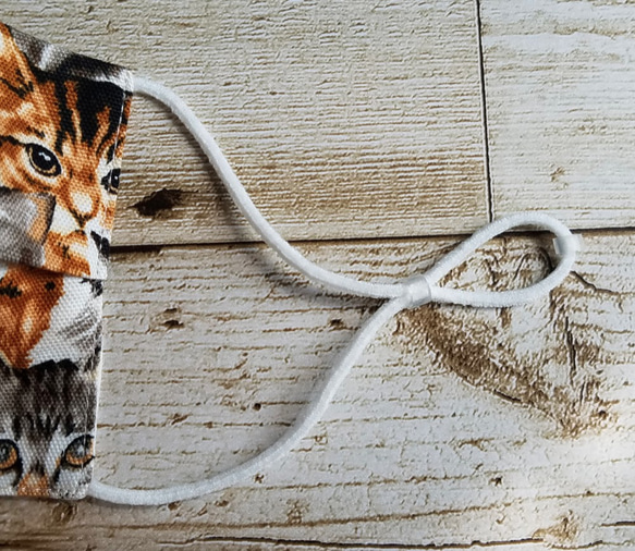 猫ちゃん メイクーン スコティッシュホールド シャルトルー 猫柄 ねこ柄 男女兼用 ハンドメイド 立体布マスク 4枚目の画像