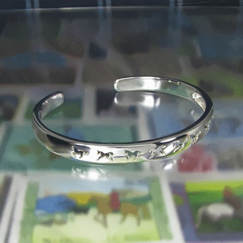 馬九イクんですシルバーバングル （950シルバー 600BLS C10