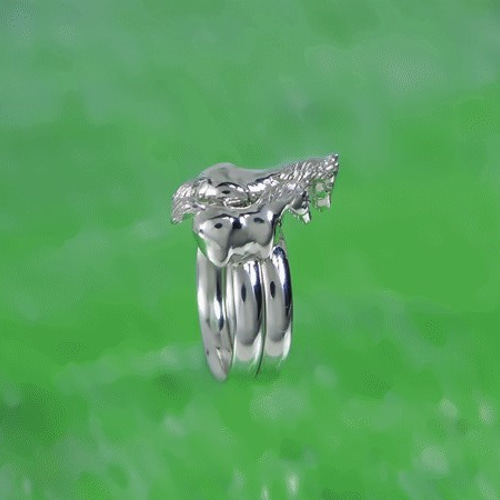 シルバーリング MR. COLD葉模様 シルバーリング MR. COLD葉模様 指輪・リング