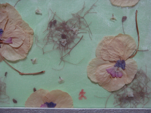 乾燥植物のフレーム　映 2枚目の画像