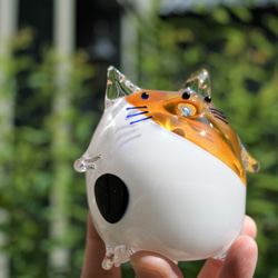 手作りガラス 大きくなった。ミケねこやん。 その他置物 小樽 ilponte