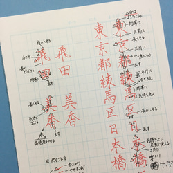 お名前・ご住所　ペン字お手本〔大人のペン字練習用⁑アドバイス付き〕　《大人のひらがな一覧表》も別途承ります 1枚目の画像