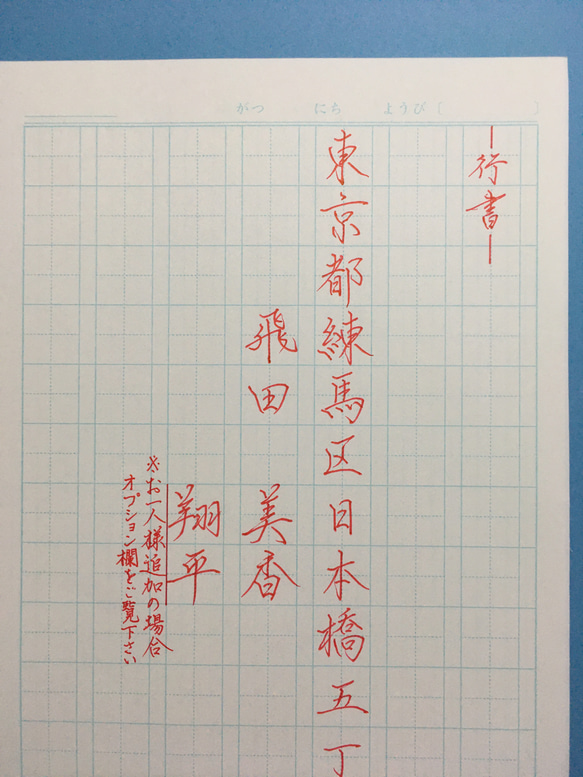 お名前・ご住所　ペン字お手本〔大人のペン字練習用⁑アドバイス付き〕　《大人のひらがな一覧表》も別途承ります 4枚目の画像