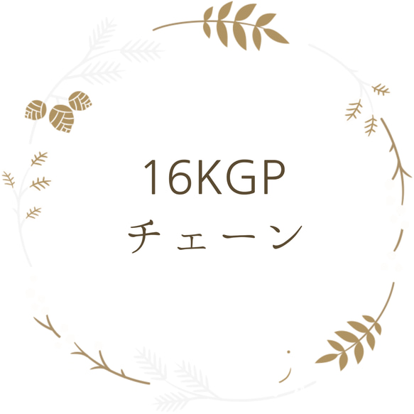 《ｔ様　専用》【16KGP】チェーンへの変更 1枚目の画像