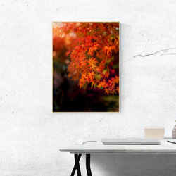 "京都紅葉" ウォールアートプリント 高画質ファイル 最大100cmプリント可 4枚目の画像