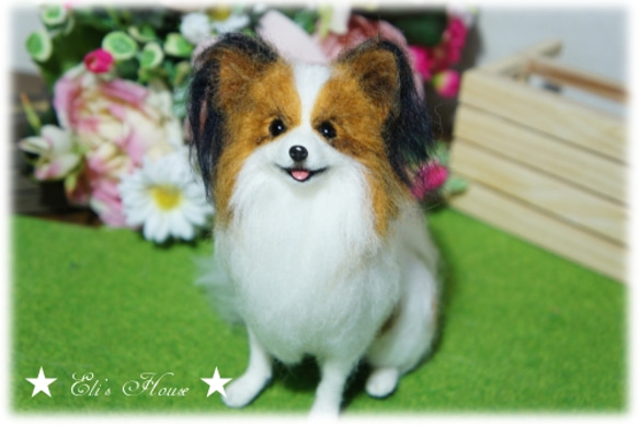 羊毛フェルト パピヨン 羊毛フェルト ちぇこ 通販｜Creema(クリーマ 