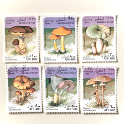 6種蘑菇郵票E（舊郵票/舊郵票）｜古董/復古 第1張的照片