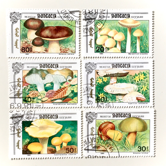 6種蘑菇郵票C（舊郵票/舊郵票）｜古董/復古 第1張的照片