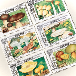 6種蘑菇郵票C（舊郵票/舊郵票）｜古董/復古 第2張的照片