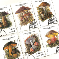 キノコ切手6種類 B（使用済外国切手・古切手）｜アンティーク・ヴィンテージ 2枚目の画像