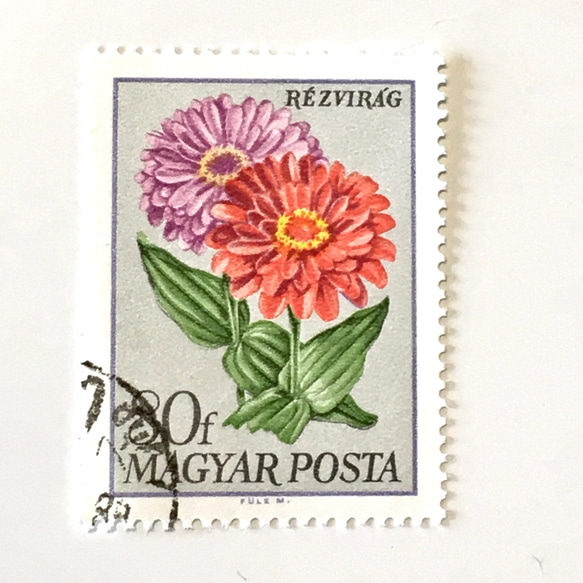10張鮮花郵票（百日草/百日草）匈牙利（外國郵票/舊郵票）｜古董/年份 第4張的照片