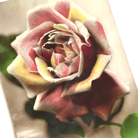 古董明信片 3 件套（玫瑰、三色堇、康乃馨）| 法國 第4張的照片