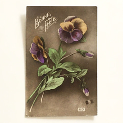 古董明信片 3 件套（玫瑰、三色堇、康乃馨）| 法國 第5張的照片
