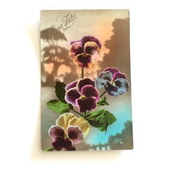 アンティークポストカード3種セット  パンジー（ビオラ）・バラ｜フランス 3枚目の画像