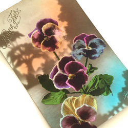 三色堇（中提琴）玫瑰古董明信片一套 3 件 | 法國 第4張的照片