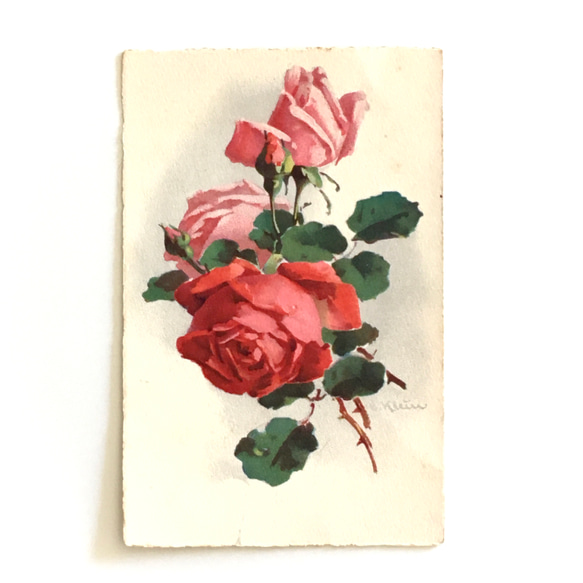 アンティークポストカード3種セット  パンジー（ビオラ）・バラ｜フランス 5枚目の画像