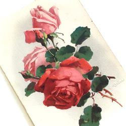 三色堇（中提琴）玫瑰古董明信片一套 3 件 | 法國 第6張的照片
