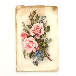 3 套古董明信片三色堇（中提琴）玫瑰康乃馨 | 法國 第5張的照片
