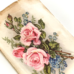 3 套古董明信片三色堇（中提琴）玫瑰康乃馨 | 法國 第6張的照片