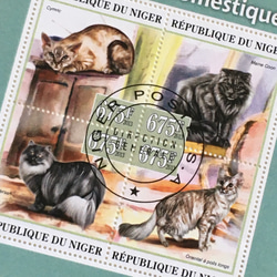 貓郵票 4 種張尼日爾共和國 2013 年（外國郵票/舊郵票）|古董和復古 第3張的照片