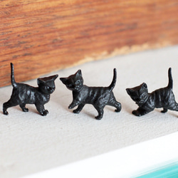 德國製造的微型貓|黑貓2號 第1張的照片