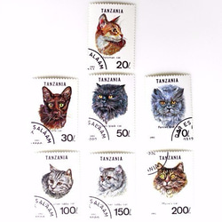 一套 7 張貓郵票坦尚尼亞 1992 年（外國郵票/舊郵票）| 古董/復古 第3張的照片