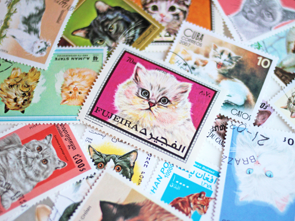 2797 銷印有 ペット 18種まとめ 色々 ねこ 外国切手 海外国々 猫