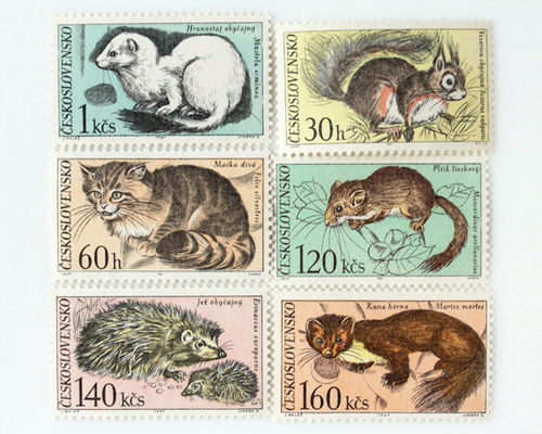 1_4d3ef1fb792bf6604daee3f17a64