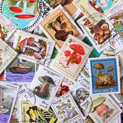 世界蘑菇郵票分類20張（外國郵票/舊郵票）｜古董/復古 第2張的照片