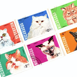 一套 7 張貓郵票尼加拉瓜 1984 年（外國郵票/舊郵票）| 古董/復古 第2張的照片