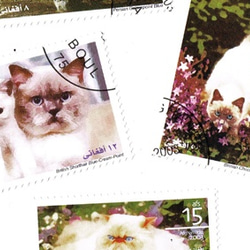 設置6種類型的2003年阿富汗阿富汗貓郵票（外國郵票/舊郵票）|古董/年份 第2張的照片