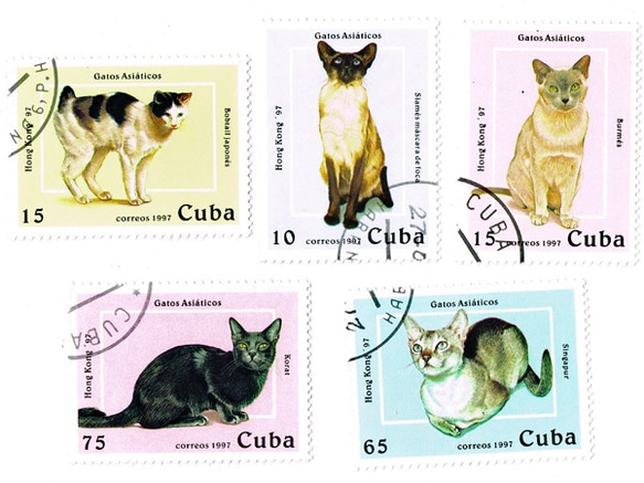 一套 5 張貓郵票古巴 1997 年（外國郵票/舊郵票）| 古董/復古 第1張的照片