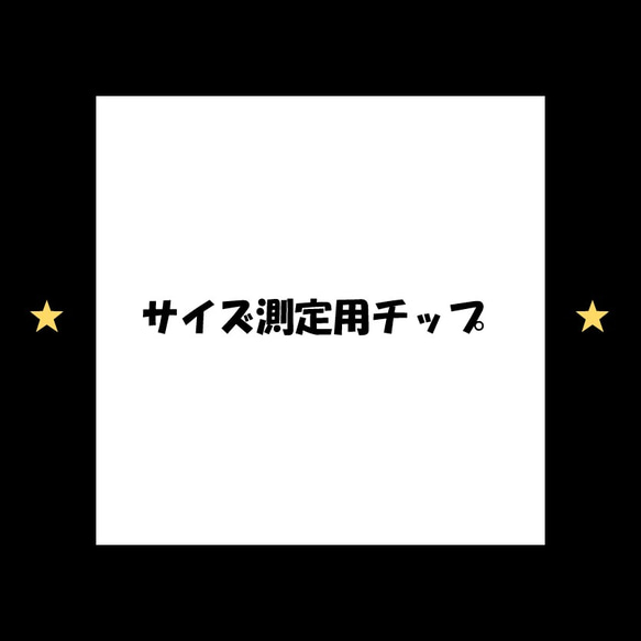 ≪送料無料≫サイズ測定用チップ 1枚目の画像