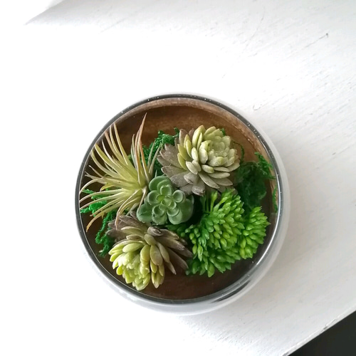 再販)【フェイクグリーン】ガラスに入った多肉植物の寄植え フェイク