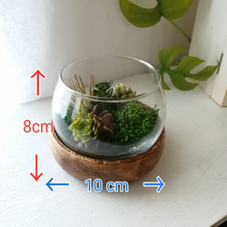 (再販)【フェイクグリーン】ガラスに入った多肉植物の寄植え　フェイク多肉　人工　観葉植物　造花　インテリアグリーン 6枚目の画像