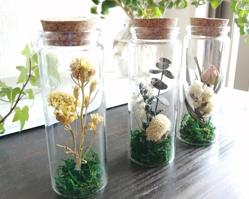 1_d92aa1b3922b3dde109201169ff1