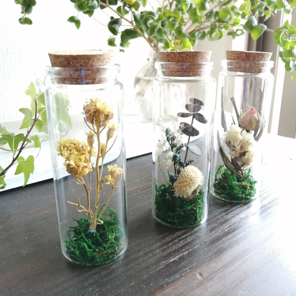 3本セット価格】ドライフラワーのミニボトルアレンジ ボトルフラワー