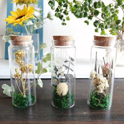 3本セット価格】ドライフラワーのミニボトルアレンジ ボトルフラワー