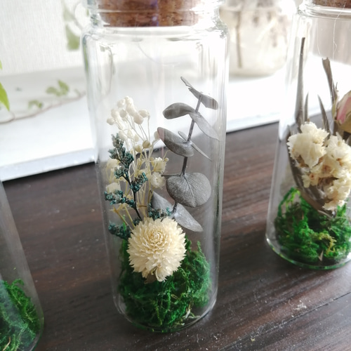 専用＊ Jumbo bottleドライフラワーボトル　グリーン② 専用＊ Jumbo bottleドライフラワーボトル グリーン②