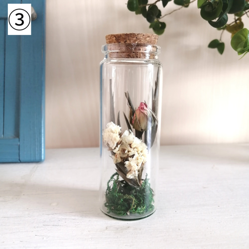 専用＊ Jumbo bottleドライフラワーボトル　グリーン② 専用＊ Jumbo bottleドライフラワーボトル グリーン②