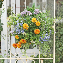 花寄せ植え 季節の花おまかせハンギングバスケット 受注生産