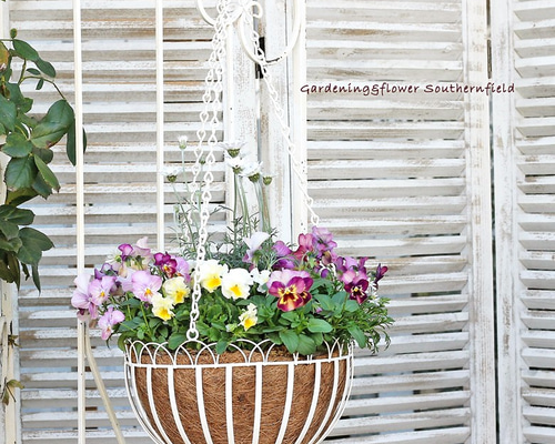 0_d220d808179778c39cf6d81ec525