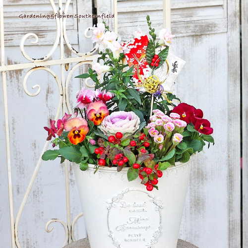 花寄せ植え 正月用 ハボタン＆ジュリアン＆チェッカーベリー