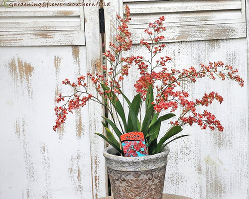 0_4ad53a97cd8cf066274dfb7eaa21