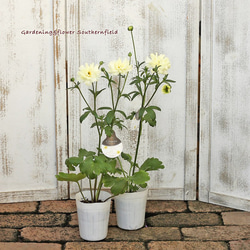 0_044a92184c92d03da57e3a835d6b