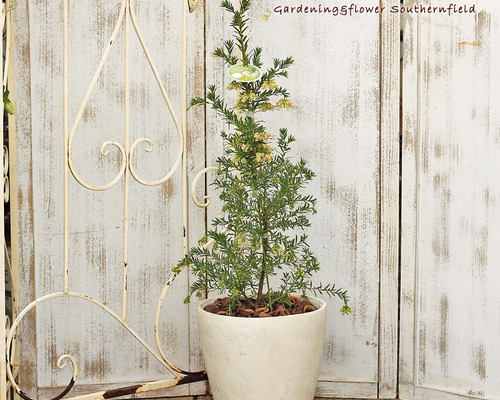 0_b0244a192c4a14c7a1a20efea701