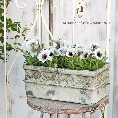 インテリア　ガーデニング陶器 ガーデニング雑貨 おしゃれ 陶器鉢 レリーフ・プランター