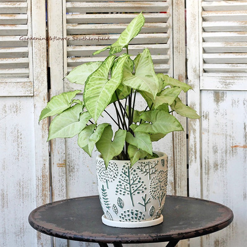 ガーデニング雑貨 おしゃれ 陶器鉢 レリーフ・プランター シリーズ L