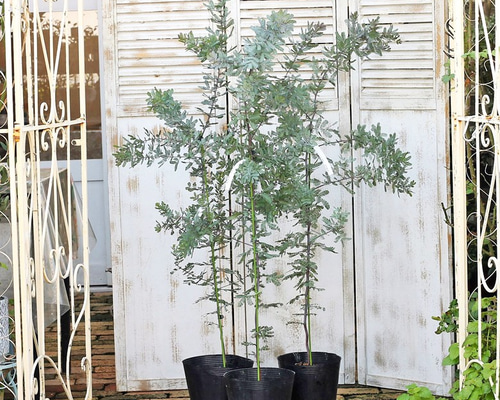 0_a9fc9cfaa757f8d62c95f02b02d9